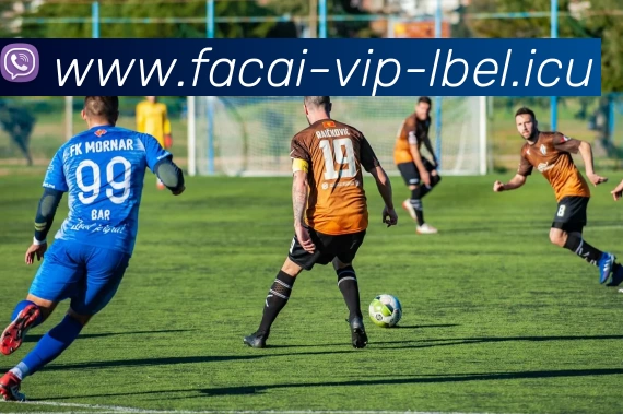 乐鱼体育注册品牌故事