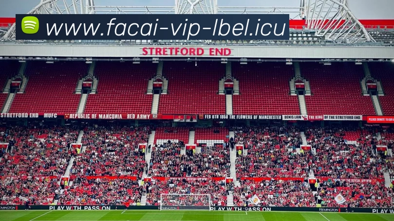 多媒体互动体验